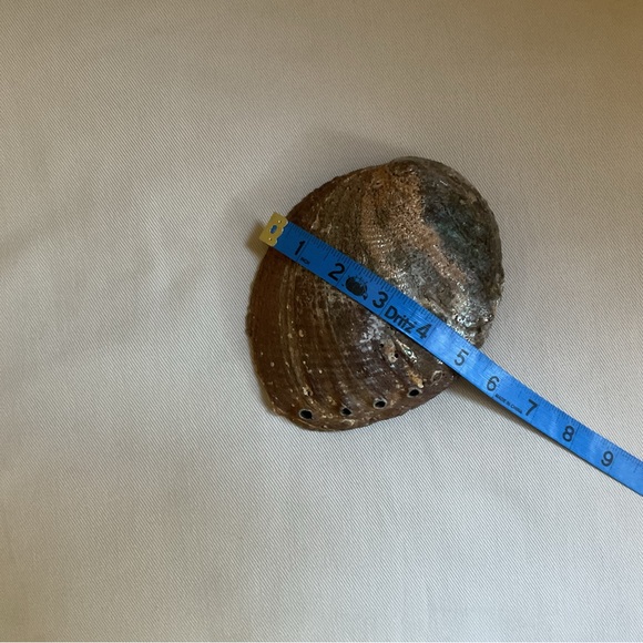 Abalone Shell Bowl + Sage Smudge Stick + Feather *3 Piece Set - Picture 5 of 9